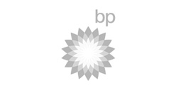 wellington group bp logo
